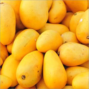 Yellow Organic Fresh Mango
