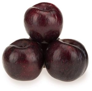 Organic A Grade Fresh Plum for Human Consumption