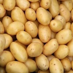 Brown Fresh Potato, Cultivation Type : Organic for Cooking