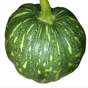 Green Fresh Pumpkin, Cultivation Type : Organic for Cooking