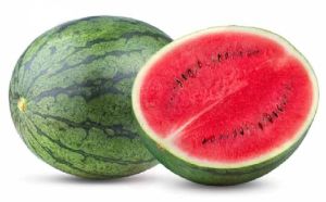 Green Organic Fresh Watermelon for Human Consumption