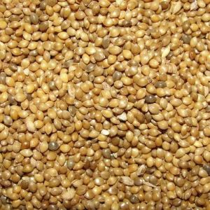 Organic Millets
