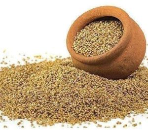 Varagu Millets