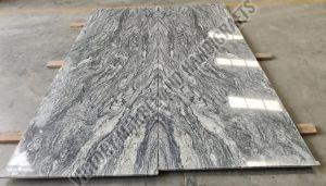 Viacom White Granite Slab