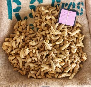 Natural Erode Turmeric Finger, Brand Name : EcoPoly, Form : Solid