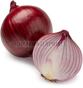 Fresh Red Onion, Packaging Size : 25-50kg Mesh Bag, Carton Box