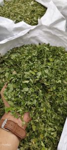 Moringa Dried Leaves