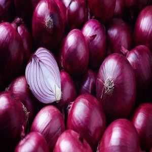 A Grade Fresh Red Onion 2-3 Weeks for Cooking, Salads, Garnishes