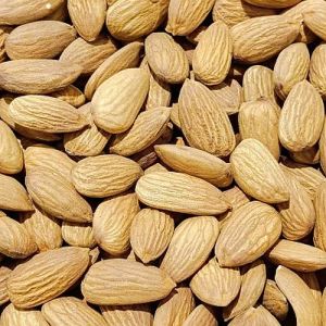 Raw Almond Nuts, Color : Brown, Packaging Type : Resealable Bag