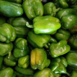 Frozen Green Capsicum