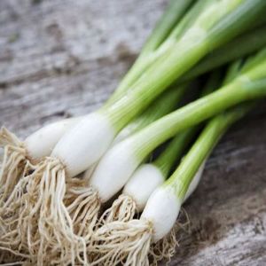 Frozen Green Onion