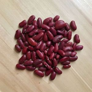 Frozen Kidney Beans