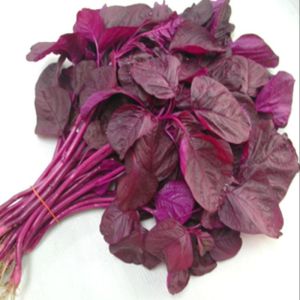 Frozen Red Spinach