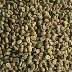 Robusta Parchment Coffee Beans
