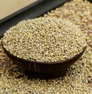 Fine Processed Hybrid Pearl Millet 16%, Packaging Size : 25-50kg