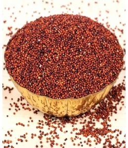 Red Sorghum Seeds