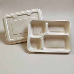 4 Compartment Eco Bagasse Plate