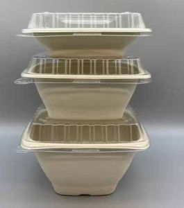 Eco Bagasse Deep Square Container