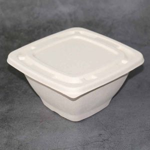 Eco Small Square Bagasse Bowl