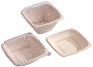 PET Lid Square Bagasse Bowl