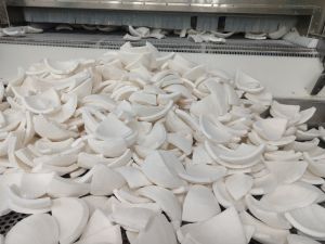 Frozen Coconut Frozen Coconut