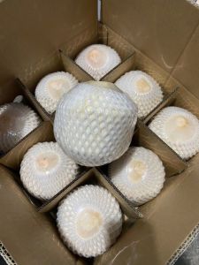 Young Coconut Young Coconut