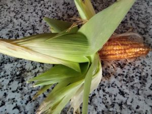 Raw Maize