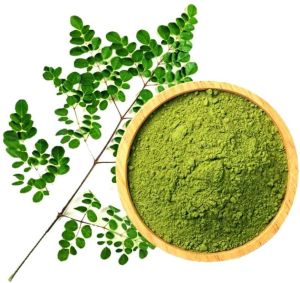 organic moringa powder