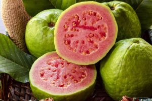 fresh guava