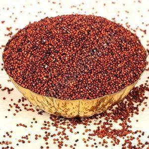 Finger Millet, Packaging Size : 25-50kg, Grade : Human Grade 10%