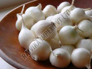 Fresh White Onion, Packaging Size : 25-50kg Mesh Bag