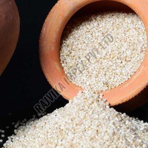 Little Millet, Packaging Size : 25-50kg 10%