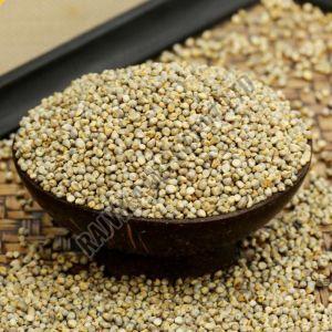 Pearl Millet, Packaging Size : 25-50kg 10%