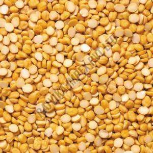 Yellow Chana Dal, Packaging Size : 25-50kg, Packaging Type : PP Bag