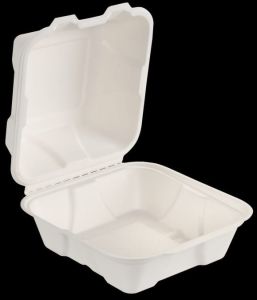 Bagasse Container