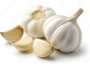 Garlic