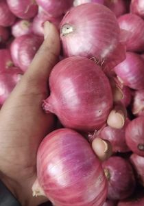 onions