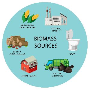 Biomass Subsidy Consultancy