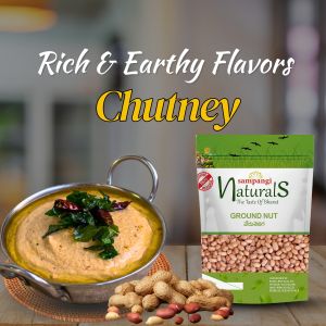 Groundnut Palli Chutney