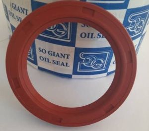 Oil Seals