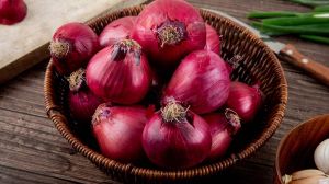 Red onions, Packaging Size : 25Kg Loose, Net Bag