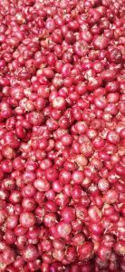 Red Onions, Packaging Size : 50Kg Net Bag