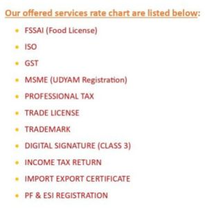 Professional Tax Registration Service