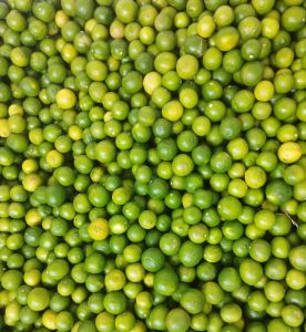 Organic A Grade Lemon, Color : Light Green for Juice, Pickles, Drinks