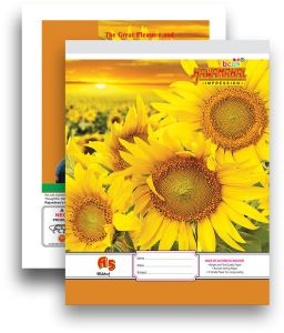 Hawamahal a5 Notebook