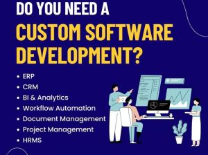 Custom Software Development