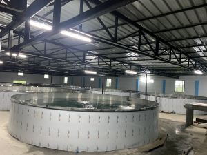 Recirculating Aquaculture System