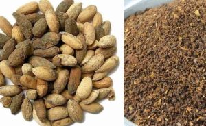 Organic Neem Seeds, Color : Brown for Cosmetic, Medicine