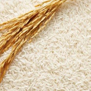 White Non-Basmati Non Basmati Rice, Packaging Type : Bag for Cooking