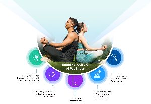 wellness program services